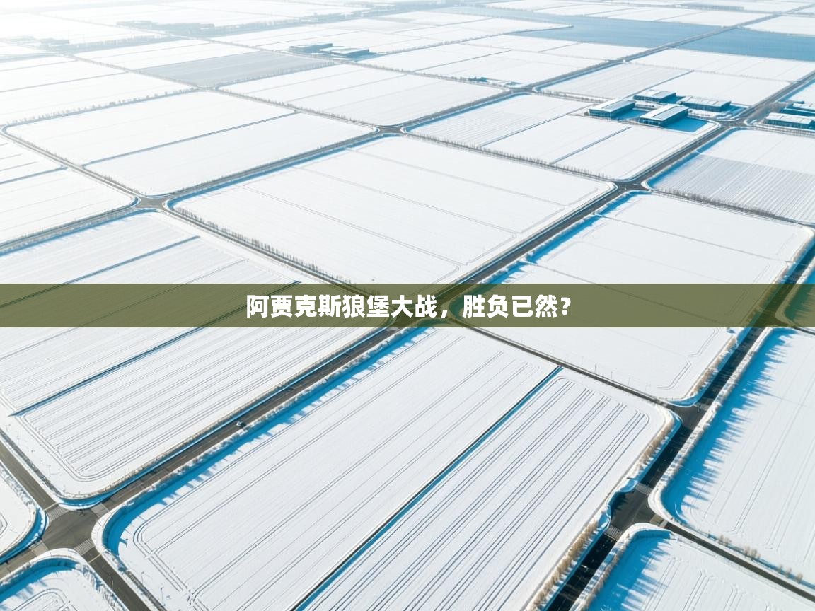 阿贾克斯狼堡大战，胜负已然？  第1张