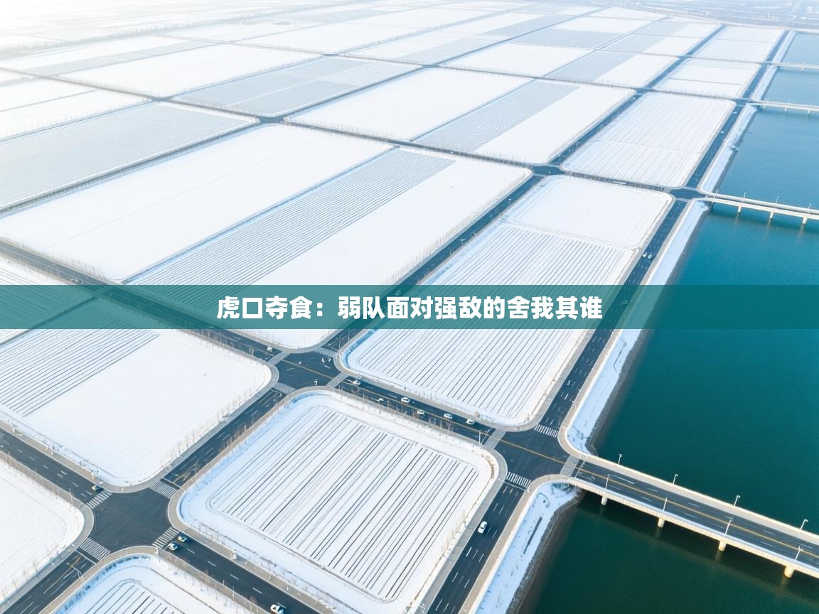 虎口夺食:弱队面对强敌的舍我其谁 第1张