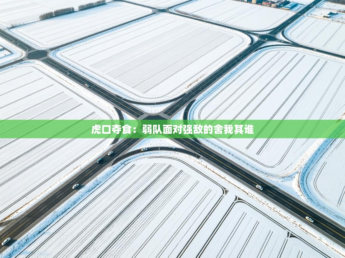 虎口夺食:弱队面对强敌的舍我其谁 第2张